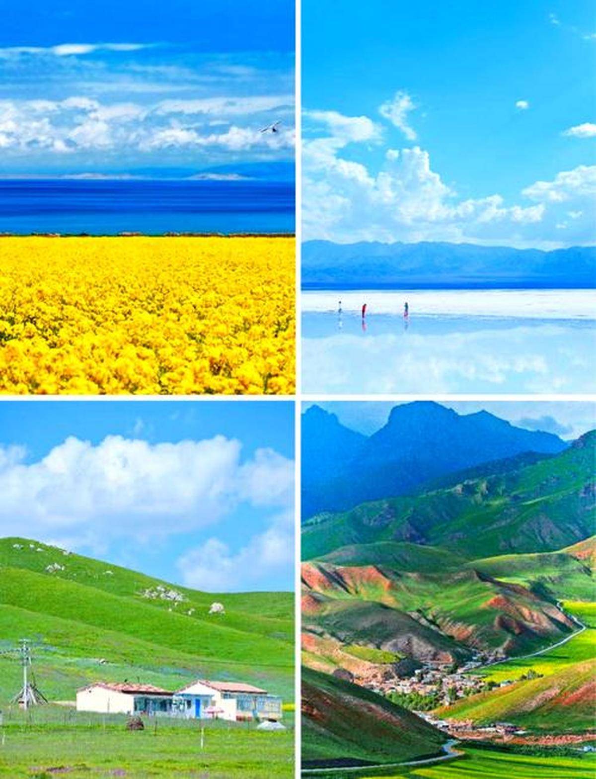 略推荐：内蒙古、青海热门景区盘点冰球突破